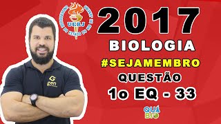 UERJ 2017  1o EQ  Questão 33  Considere um animal que possui oito cromossomos em suas células dip [upl. by Macilroy]