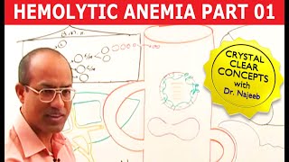 Hemolytic Anemia  Hematology  Part 1🩺 [upl. by Meeharb]