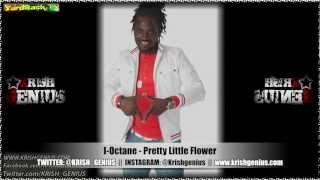 IOctane  Pretty Little Flower Contagious Riddim Feb 2013 [upl. by Emerson]