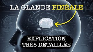 La GLANDE PINÉALE  Explication Très Détaillée choquant [upl. by Yrogiarc]