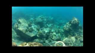 MISSION BIG ISLANDEp2Spearfishing 808styleKole Action [upl. by Dera]