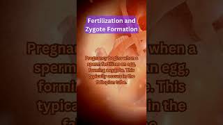 Fertilization and Zygote Formation shorts [upl. by Ludeman]