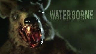 Waterborne  Zombie Kangaroo Short Film Official [upl. by Carthy]