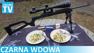 quotSztucerekquot na ciężkie czasy  Dawide Pedersoli Black Widow 22LR [upl. by Innek373]