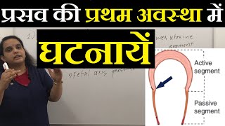 Events in the First stage of Labour in Hindi हिंदी  Physiology in 1st stage of Normal Labour [upl. by Cobbie]