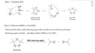 Organic Chemistry  Oxidative Cleavage of Alkene via Ozonolysis [upl. by Sirap]