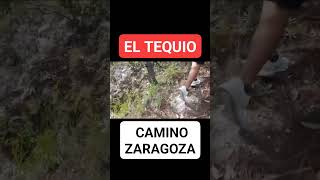 EL TEQUIO  Camino de Zaragoza MOTOZINTLA CHIAPAS  4D FAMâ–¶ [upl. by Elatia]