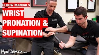 Forearm Pronation and Supination Manual Exercises [upl. by Oreste]