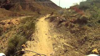 Specialized Stumpjumper Expert Evo 2011 Review [upl. by Dietsche]