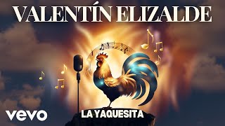 Valentín Elizalde  La Yaquesita [upl. by Einej]