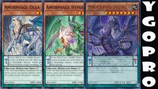 YGOPRO Amorphage Deck Profile Comentado DeckList jan2016 [upl. by Inanuah]