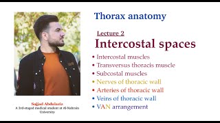 Thorax anatomy  L2  Intercostal spaces  Sajjad Abdulaziz [upl. by Meredeth]