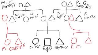 Introduction to Kinship Diagrams  Cultural Anthropology [upl. by Asle802]