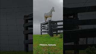 Horse Country Incredible Blessed Kentucky My Home [upl. by Etteniotnna111]