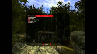 Gothic Multiplayer  GUI Testing [upl. by Cuthburt775]