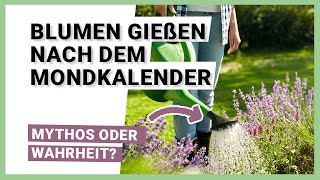 Blumen gießen nach dem Mondkalender  Ist tatsächlich was dran [upl. by Leverick]