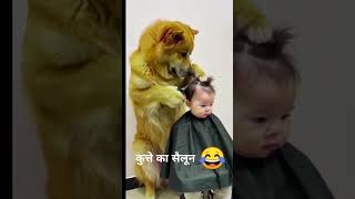 कुत्ते का सैलून 😂 shorts shortsvideo funny [upl. by Kimberlyn202]