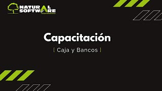 Capacitación Caja y Bancos [upl. by Moersch]