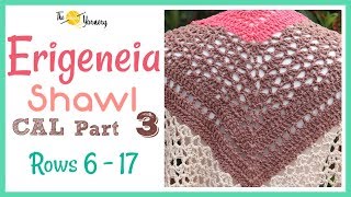 Erigeneia Shawl CAL Part THREE  Rows 6  17 [upl. by Mundford327]