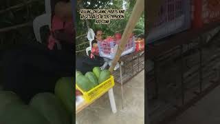 Selling organic produce Babangon muli organicfarming organicproduce lucbanquezon [upl. by Borreri]