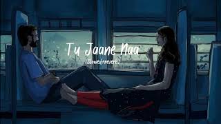 Tu Jaane Na  Atif Aslam song Slowed  reverb ranbirkapoor love [upl. by Freeborn]