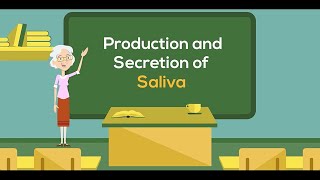 Production and Secretion of Saliva  Physiology Animation Video  VLearning™ [upl. by Neleb]