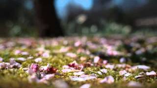 Jean Sibelius  Spring Song Op16 [upl. by Relyuhcs]