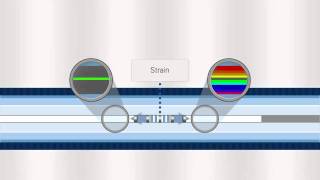 FBG Optical Sensing Overview [upl. by Frodeen893]