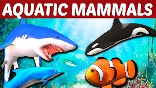 Aquatic Mammals  Educational Videos for Kids In English [upl. by Okuy]