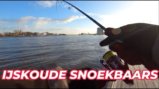 VISSEN OP SNOEKBAARS IN DE WINTER JIM TEST ZIJN NIEUWE HENGEL roofvissen zander fishing [upl. by Shannah]