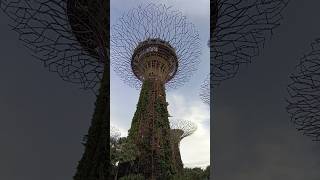 Gardens by the Bay gardensbythebay singapore [upl. by Niel]