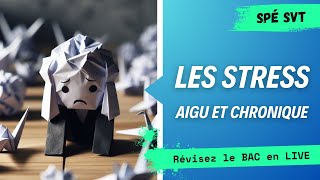 Révisions BAC spé SVT  STRESS [upl. by Yelrebmyk]