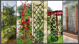 trellis ideas for vegetable garden  outdoor trellis ideas [upl. by Torbert]