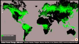 Global Forest Change 20002012 [upl. by Wenger]