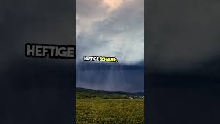 Cumulonimbus vs Nimbostratus Welche Wolke bringt mehr Sturm🌩️🌧️ [upl. by Enid]