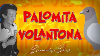 Diomedes Díaz  Palomita Volantona Letra Oficial [upl. by Aidiruy541]