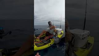 Mancing pakai kayak dapat ikan marlin besar 😱 pelicankayak fishing pelagic [upl. by Llenreb940]