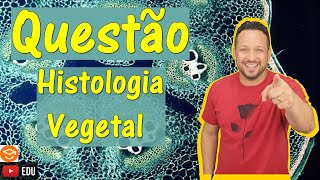 Tecidos Vegetais  Questão  Histologia Vegetal  Botânica [upl. by Nereus]