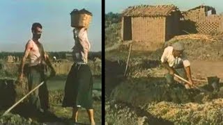 Produzione di tegole e mattoni nel Campidano di Oristano 1951 [upl. by Garrot309]