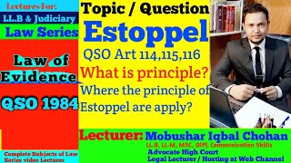 Estoppel  law of evidence  QSO lectures  llb lectures in urdu hindi judicial exam [upl. by Lusa982]