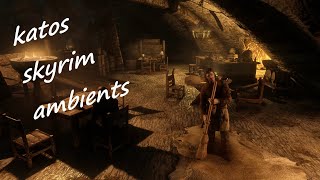 Skyrim  Riften  Thieves Guild  Ambience  Music QHD 60fps  mods [upl. by Oirad103]