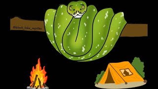 Green Tree Python Goes Camping [upl. by Disario]