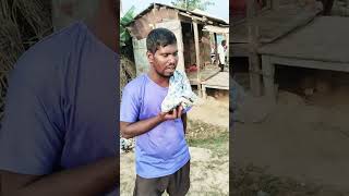 Lollipop Lagelu funny video part 2tranding youtubeshorts song pawansingh manimerajcomedy song [upl. by Gavrielle108]