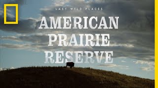 Last Wild Places American Prairie Reserve  National Geographic [upl. by Karee]