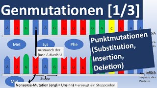 Genmutationen 13 Punktmutationen Insertion Substitution Deletion  Genetik Oberstufe [upl. by Aicilehp]