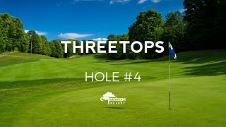 Treetops Resort Threetops 4 [upl. by Ianaj]