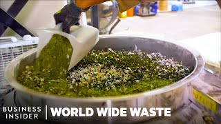 Meet 8 Young Founders Turning Trash Into Cash  World Wide Waste  Insider Business [upl. by Eiramnna]