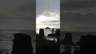 Face rock in Bandon Oregon [upl. by Gorrono]