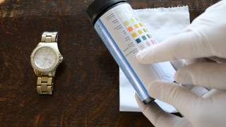 Urinalysis  part 1 A users guide to easy urinalysis results [upl. by Ashly670]