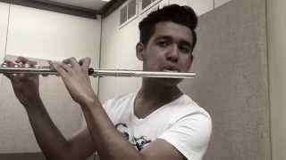 EARNED IT  THE WEEKND FLUTE COVER [upl. by Oretna]